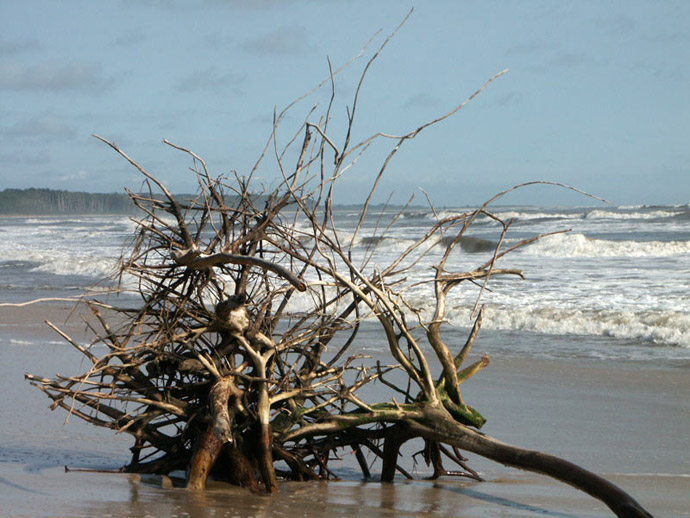Plage de Cap Lopez du ct de l'Ocan Atlantique - PORT GENTIL