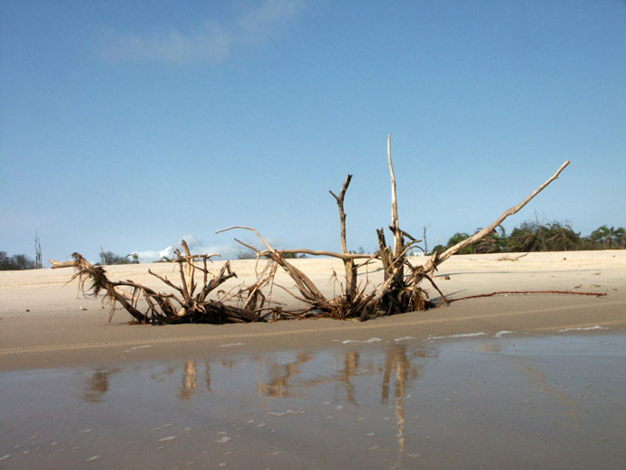 Plage de Cap Lopez du ct de l'Ocan Atlantique - PORT GENTIL