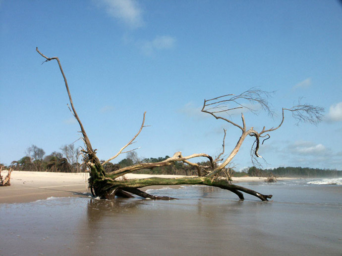 Plage de Cap Lopez du ct de l'Ocan Atlantique - PORT GENTIL