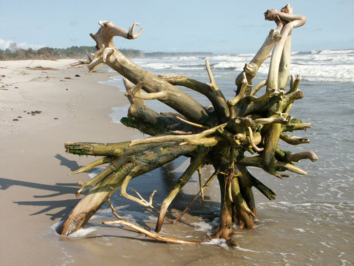 Plage de Cap Lopez du ct de l'Ocan Atlantique - PORT GENTIL