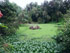 Jardin botanique - PORT GENTIL