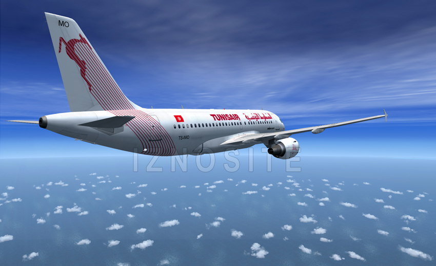 Airbus A319-ER " Hannibal "