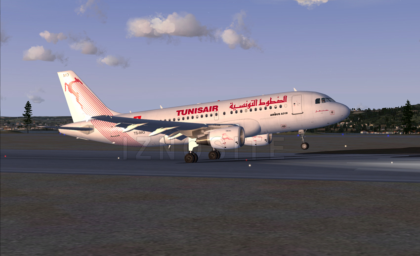 Airbus A319-ER " Hannibal "
