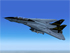 Grumman F14 Tomcat