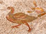Mosaques - CARTHAGE
