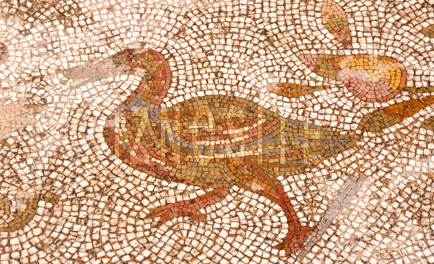 Mosaques - CARTHAGE