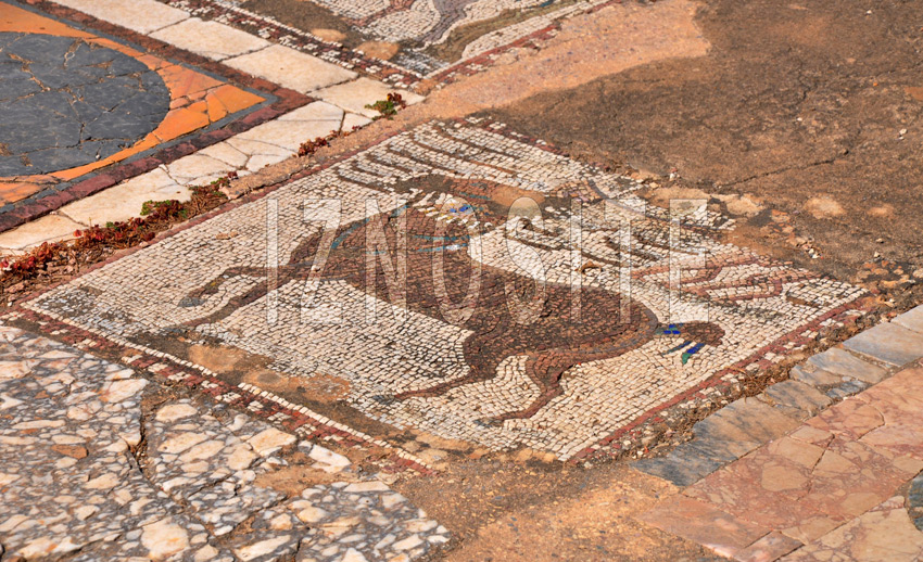 Mosaques - CARTHAGE
