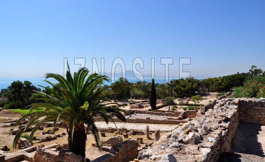 Ruines villas romaine - CARTHAGE