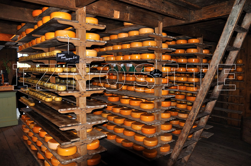 Le village de pcheurs - Fromagerie - ENKHUIZEN